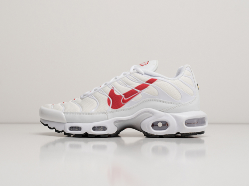 Кроссовки Nike Air Max Plus TN