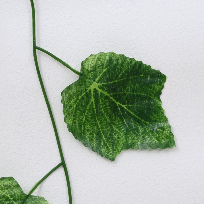 Лиана «Лист винограда», набор 12 шт., 2.3 м