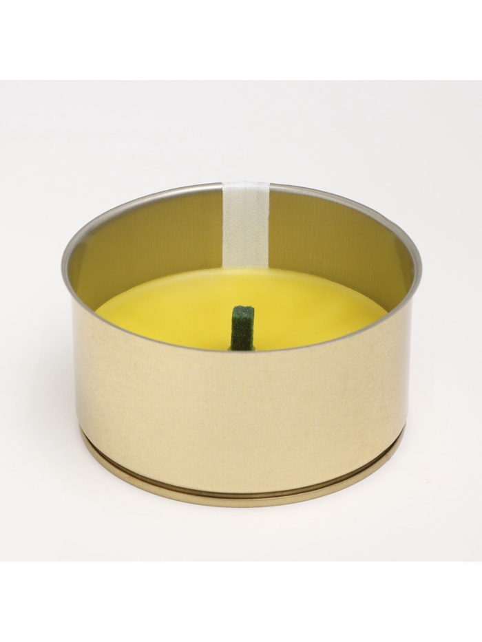 Ароматическая свеча уличная антимоскитная, 10×4.5 см, 120 г, 6 ч, цитронелла, жёлтый