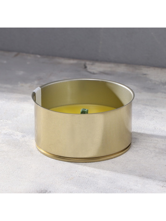 Ароматическая свеча уличная антимоскитная, 10×4.5 см, 120 г, 6 ч, цитронелла, жёлтый