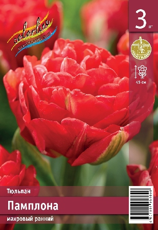 Тюльпан Памплона ПРОМО (В упаковке 3 шт.)