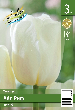 Тюльпан Айс Риф ПРОМО (В упаковке 3 шт.)