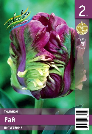Тюльпан Рай ПРОМО (В упаковке 2 шт.)