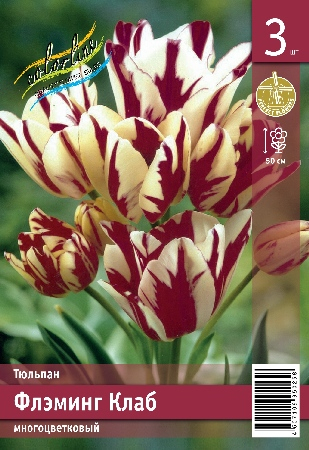 Тюльпан Флэминг Клаб ПРОМО (В упаковке 3 шт.)