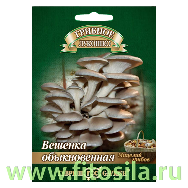 Вешенка Обыкновенная на древесной палочке, больш. пак. 12 шт (семена для проращивания)