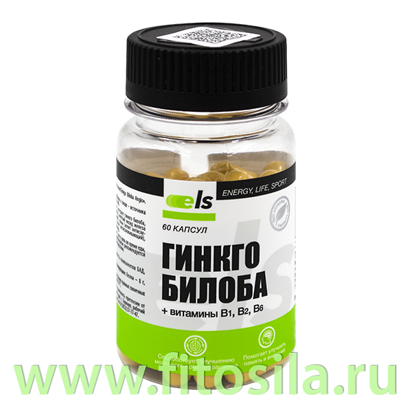 Гинкго Билоба Ангио, капс. 0,5 г № 60 БАД