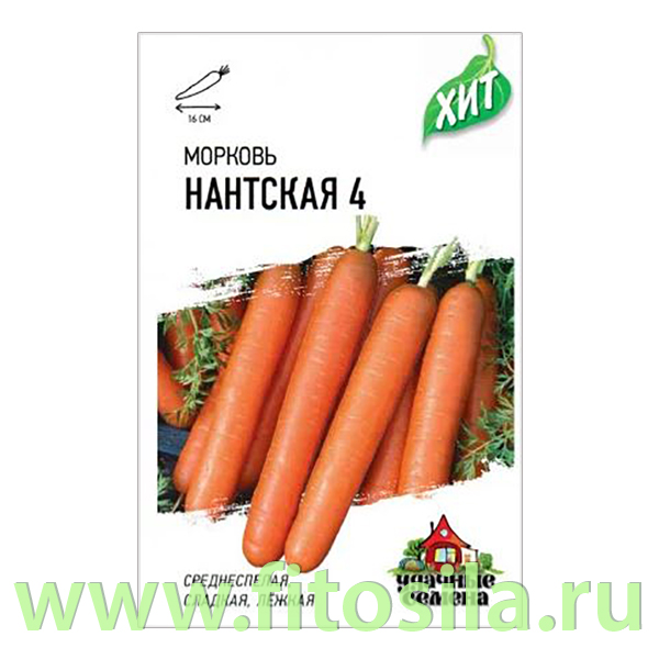 Морковь Нантская 4 1,5 г ХИТ х3 (семена для проращивания)