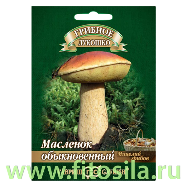 Масленок на зерновом субстрате, больш. пак. 15 мл (семена для проращивания)