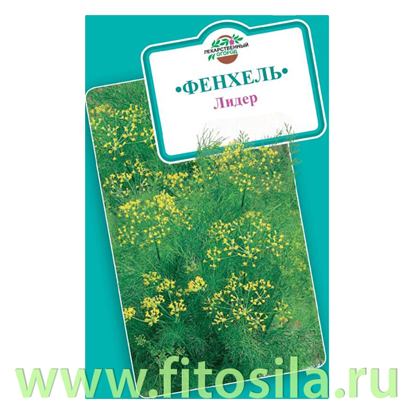 Фенхель обыкновенный Лидер 0,5 г (семена для проращивания)