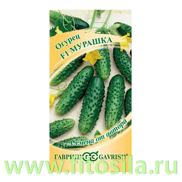 Огурец Мурашка F1 10 шт. корнишон автор. (семена для проращивания)