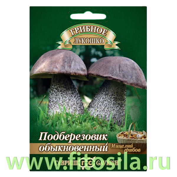 Подберезовик на зерновом субстрате, больш. пак. 15 мл (семена для проращивания)