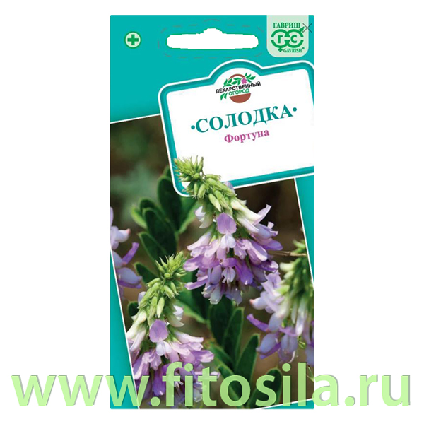 Солодка голая Фортуна 0,05 г (семена для проращивания)