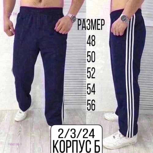 Спортивные штаны 1950138-1