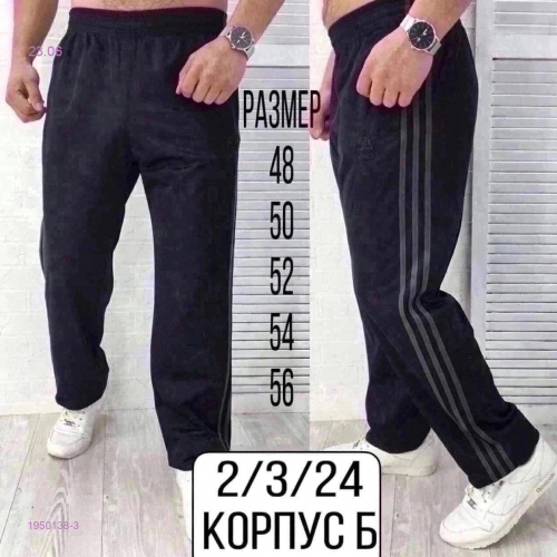 Спортивные штаны 1950138-3