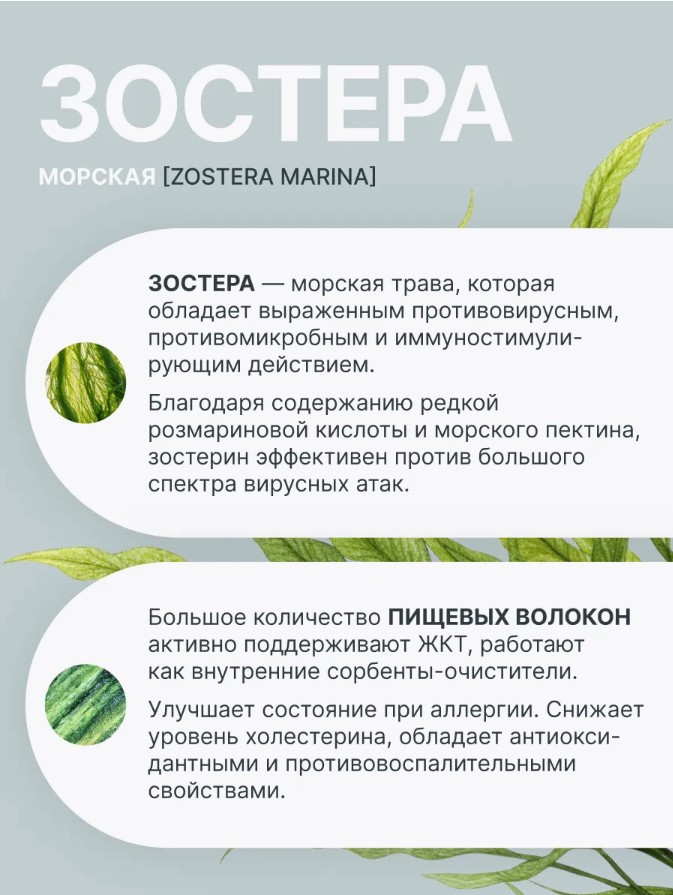 Зостера морская экстракт раст.капс. /Zostera marine extract vegetable HPMC caps /MORELET