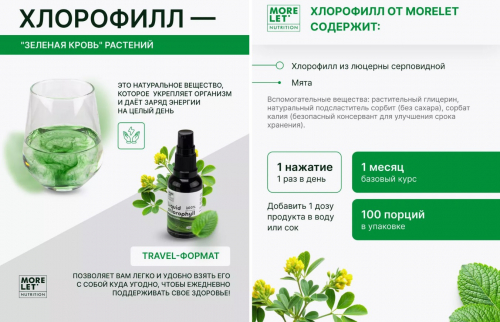 Хлорофилл концентрат 100 спрей/ Chlorophyll concentrate 100 spray /MORELET