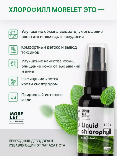 Хлорофилл концентрат 100 спрей/ Chlorophyll concentrate 100 spray /MORELET