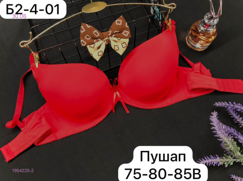 Бюстгальтер 1954225-2