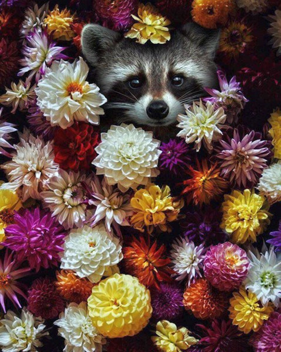 Картина по номерам на холсте и подрамнике 40х50 см