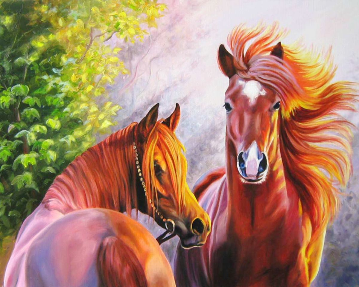 Картина по номерам на холсте и подрамнике 40х50 см