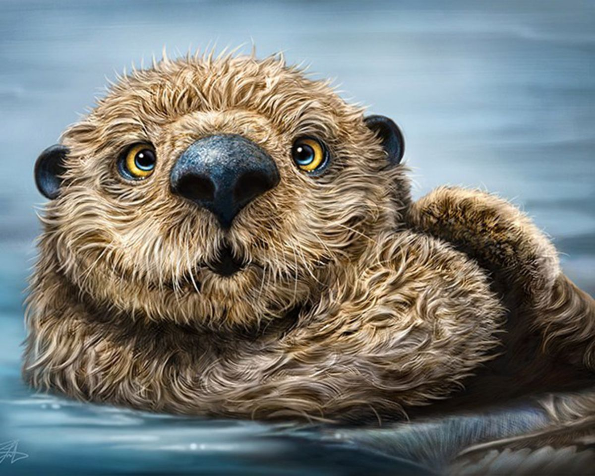 Картина по номерам на холсте и подрамнике 40х50 см