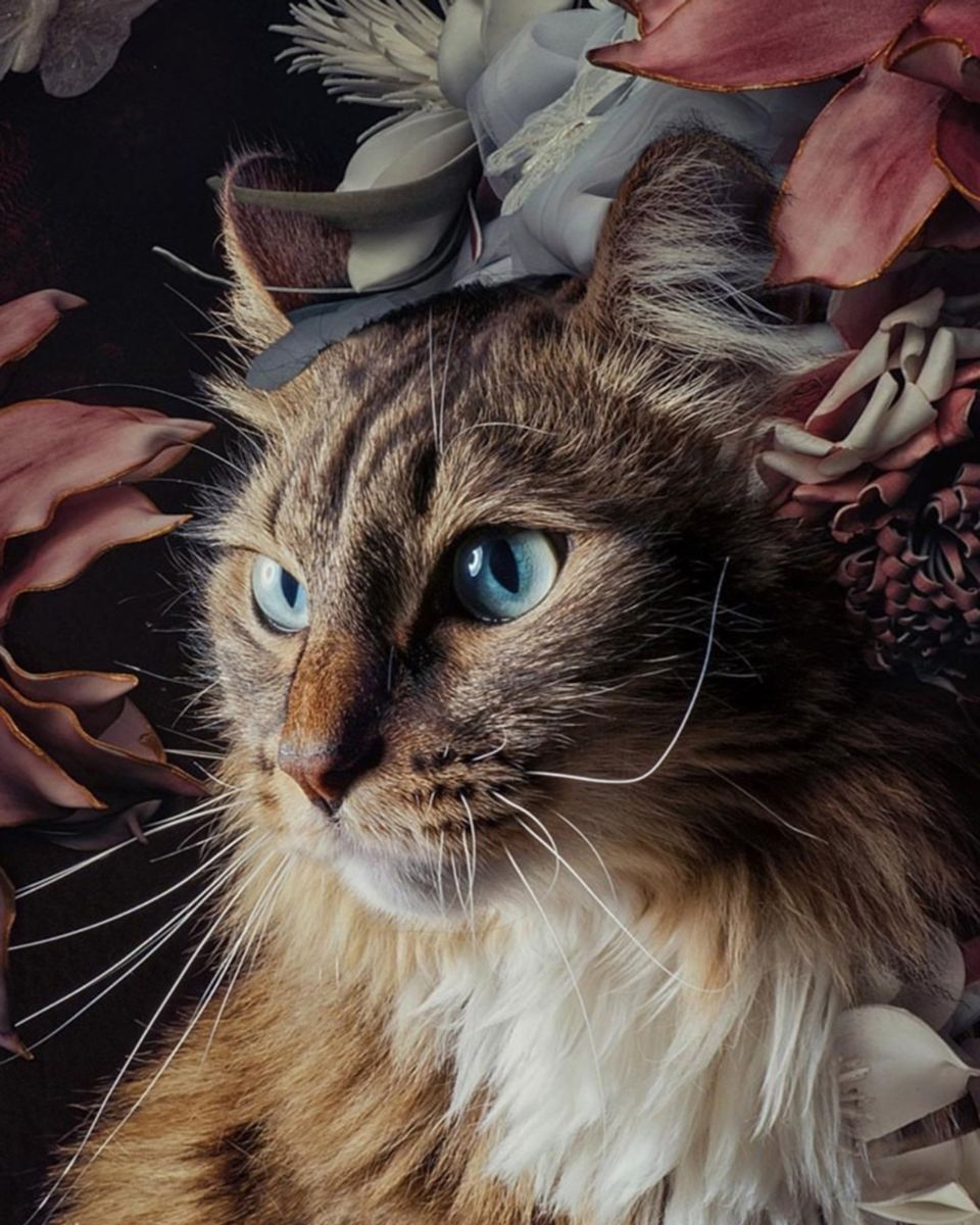 Картина по номерам на холсте и подрамнике 40х50 см