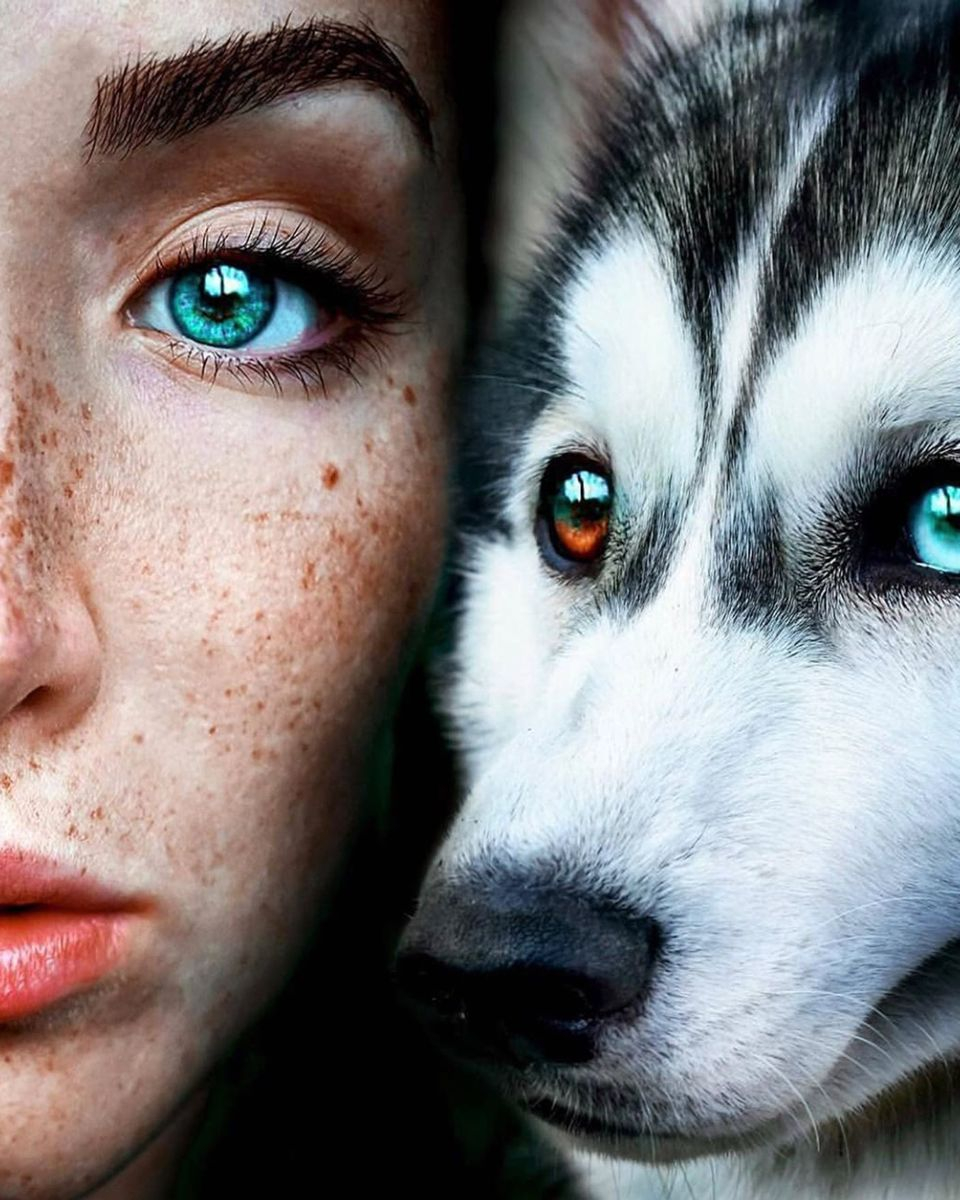 Картина по номерам на холсте и подрамнике 40х50 см