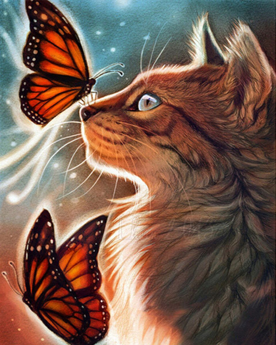 Картина по номерам на холсте и подрамнике 40х50 см