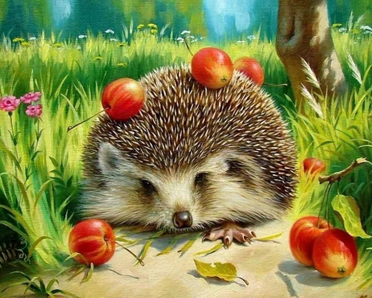 Картина по номерам на холсте и подрамнике 40х50 см