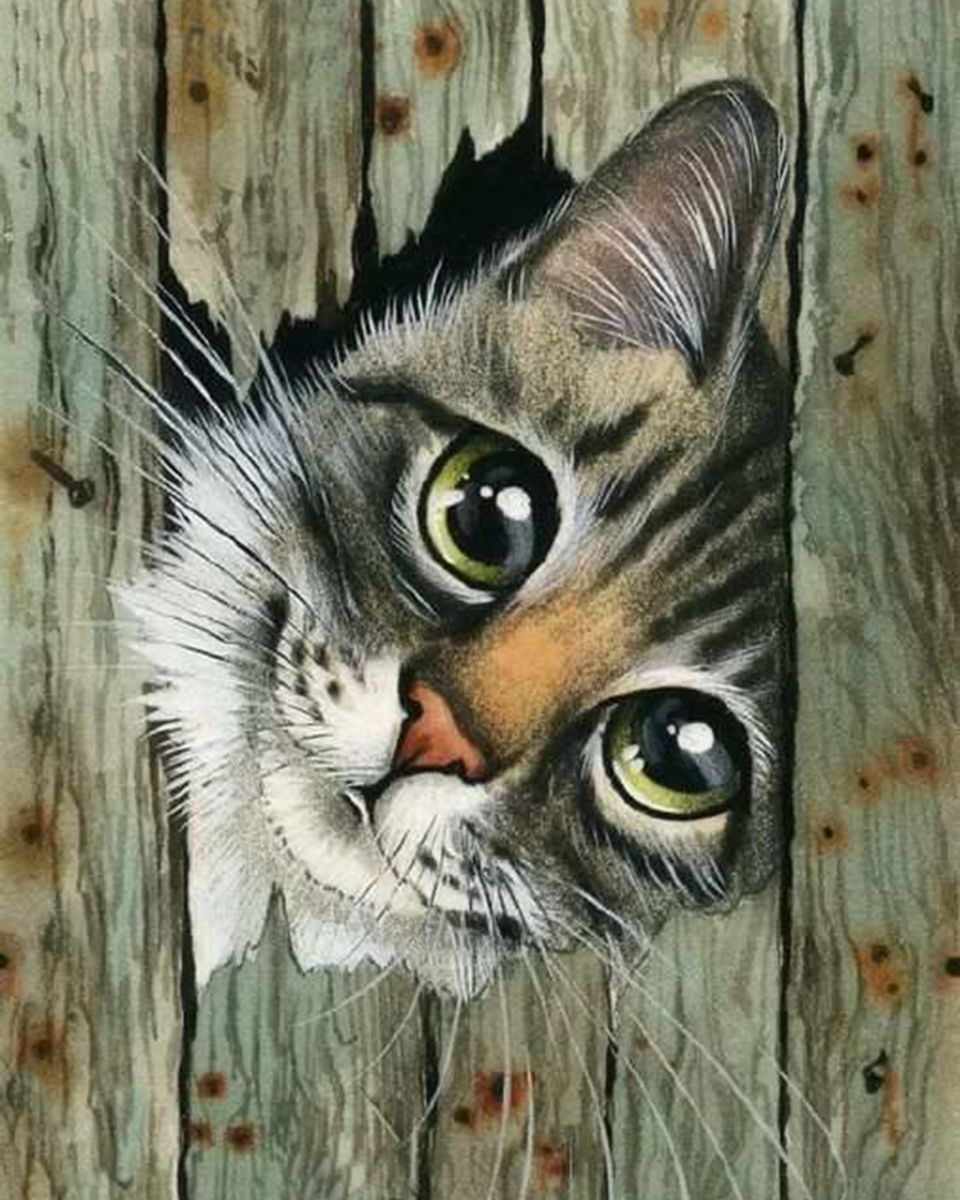 Картина по номерам на холсте и подрамнике 40х50 см