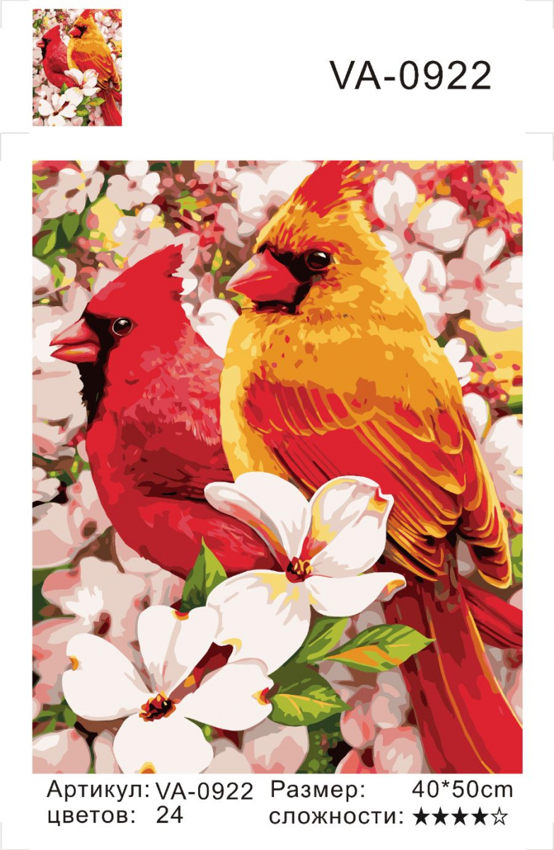 Картина по номерам на холсте и подрамнике 40х50 см