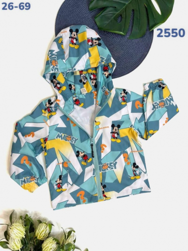 Ветровка 2550 изумруд