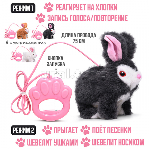 Кролик 