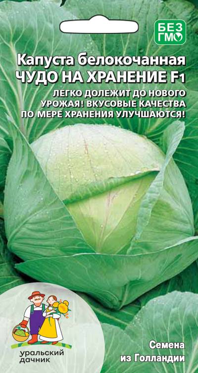 Капуста Чудо на хранение F1 0,3 г ц/п Уральский дачник (поздняя)