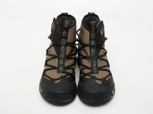 Зимние Кроссовки Nike ACG Air Terra Antarktik
