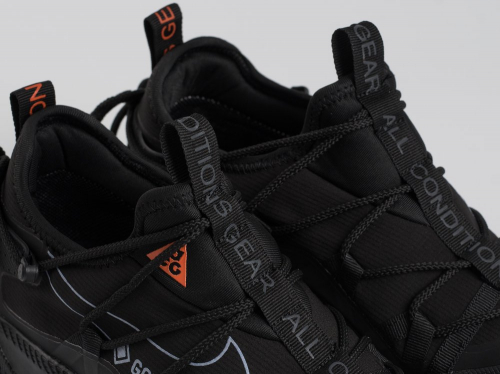 Кроссовки Nike ACG Air Terra Antarktik Low