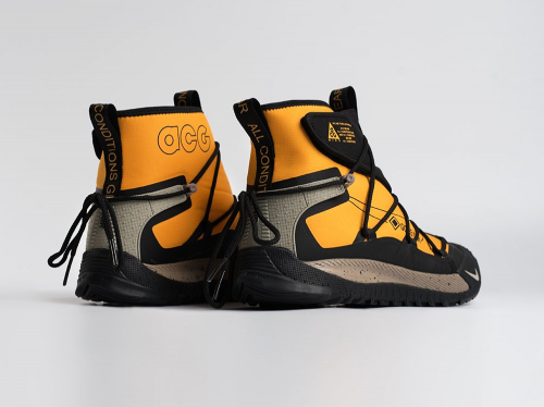 Зимние Кроссовки Nike ACG Air Terra Antarktik