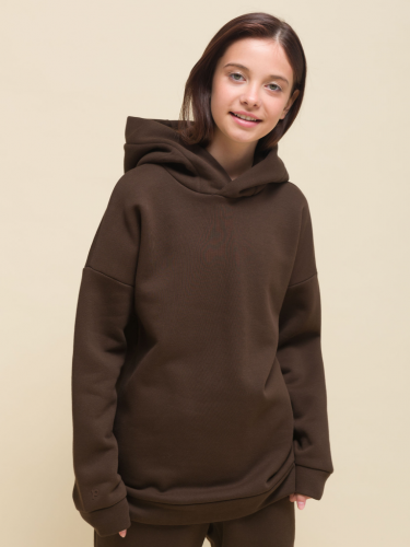 UFNK4323 Толстовка детская Шоколадный(50)