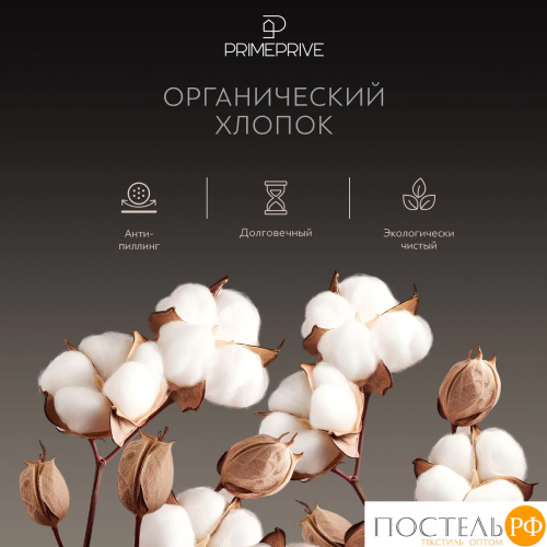 PRIME PRIVE РОШФОР КПБ 145х215-1/180х220-1/50х70-2, 4 пр., хл./сатин