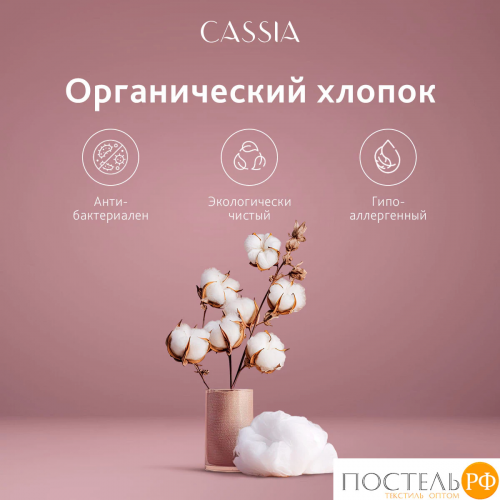 CASSIA АДЭМ Простыня на резинке 160х200+30, 1 пр., хл./сатин