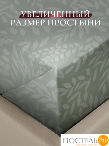 CASSIA ЭМИНЕ КПБ 200х210-1/230х250-1/50х70-2, 4 пр., хл./сатин