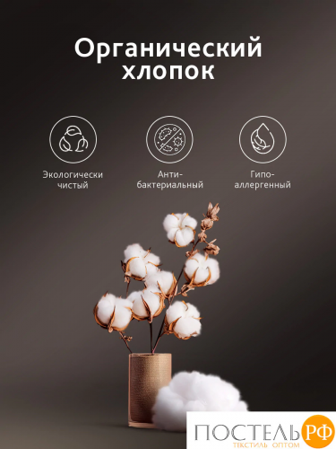 CASSIA ЭМИНЕ Простыня на резинке 160х200+30, 1 пр., хл./сатин