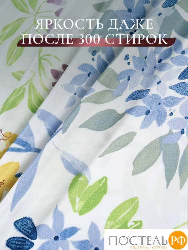 CASSIA ЛИРИО КПБ 200х220-1/230х250-1/50х70-2/70х70-2, 6пр.,бамб/хл