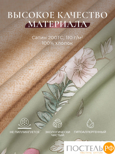 CASSIA АЙЛА КПБ 200х220-1/230х250-1/50х70-2, 4 пр., хл./сатин