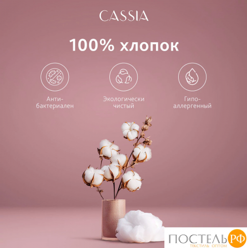 CASSIA ЛЮКС Страйп Сатин с-сер КПБ 200х215-1/230х250-1/50х70-2/70х70-2, 6 пр., хл/сатин