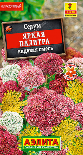 1794A Седум Яркая палитра, смесь сортов 0,01гр