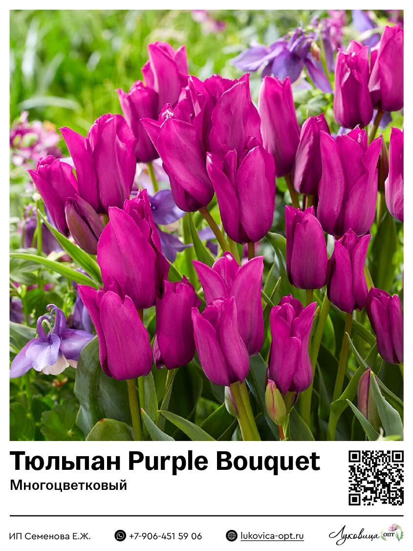 Тюльпан Purple Bouquet (Многоцветковый)