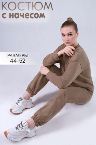 Арт. 2911 Костюм с начесом женский 44-52 (5 шт)