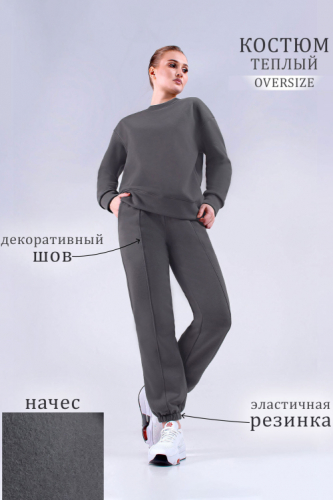 Арт. 2909 Костюм женский с начесом 44-52 (5 шт)