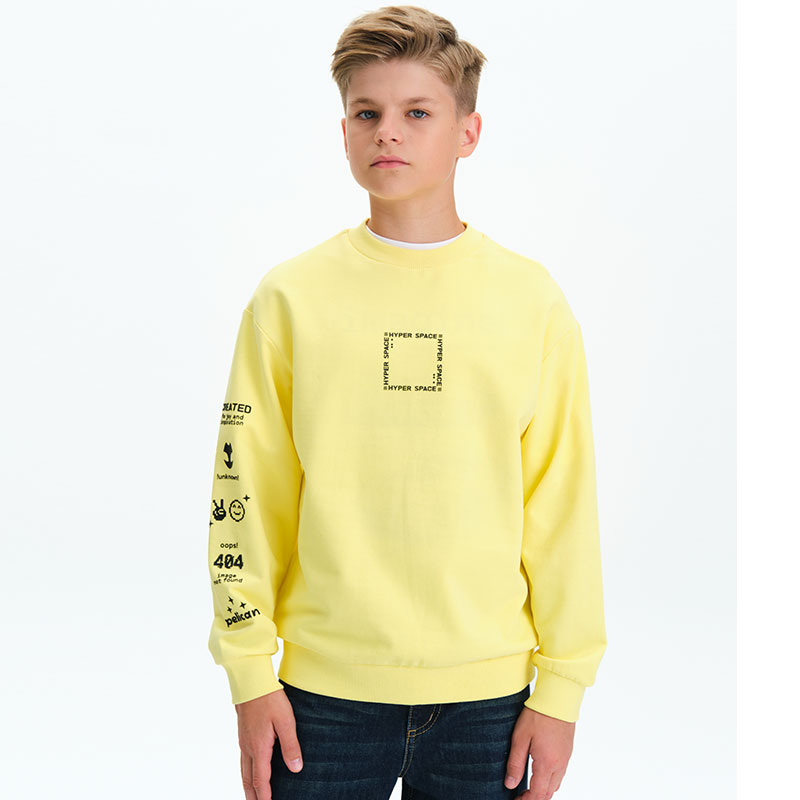 BFN3377 толстовка для мальчиков (1 шт в кор.)